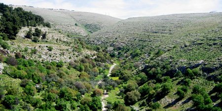 Nature Israel